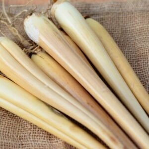 import placeholder for 5478