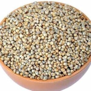 import placeholder for 6051